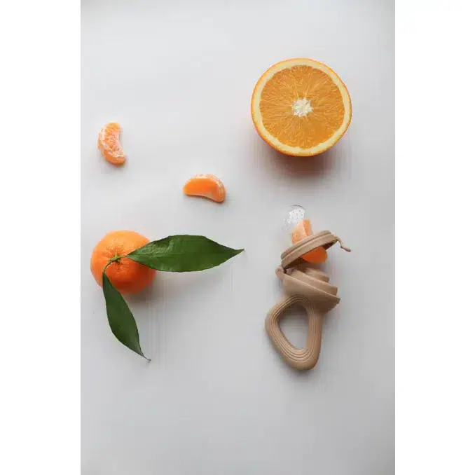 Sucette grignoteuse Pour Bébé Sans BPA Pour Fruits et Légumes Aliments Pour  bébés