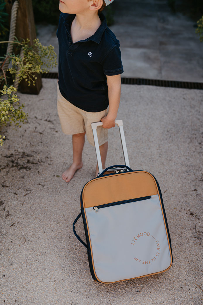 une ensemble de Voyage accessoires pour des loisirs. divers bagage Sacs,  les valises, produits de beauté